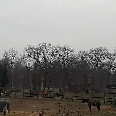 Apartment Eudora Hannover
