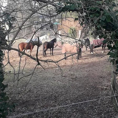 Апартаменты Eudora