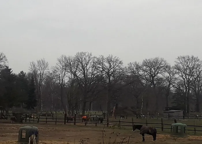 Апартаменты Eudora Ганновер