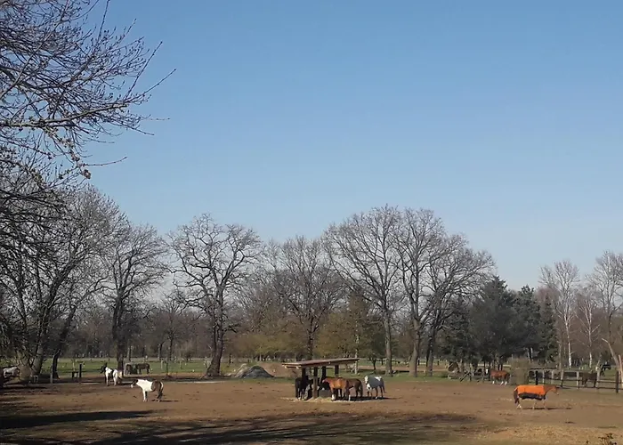 Eudora Διαμέρισμα