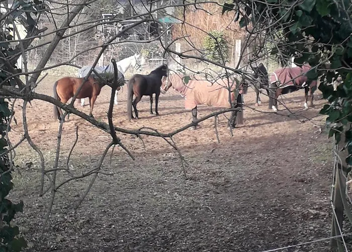 Апартаменты Eudora