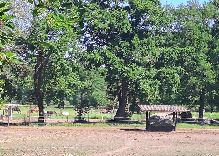 Eudora Διαμέρισμα *